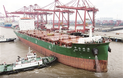 中谷海运 集装箱吞吐 稳步增长
